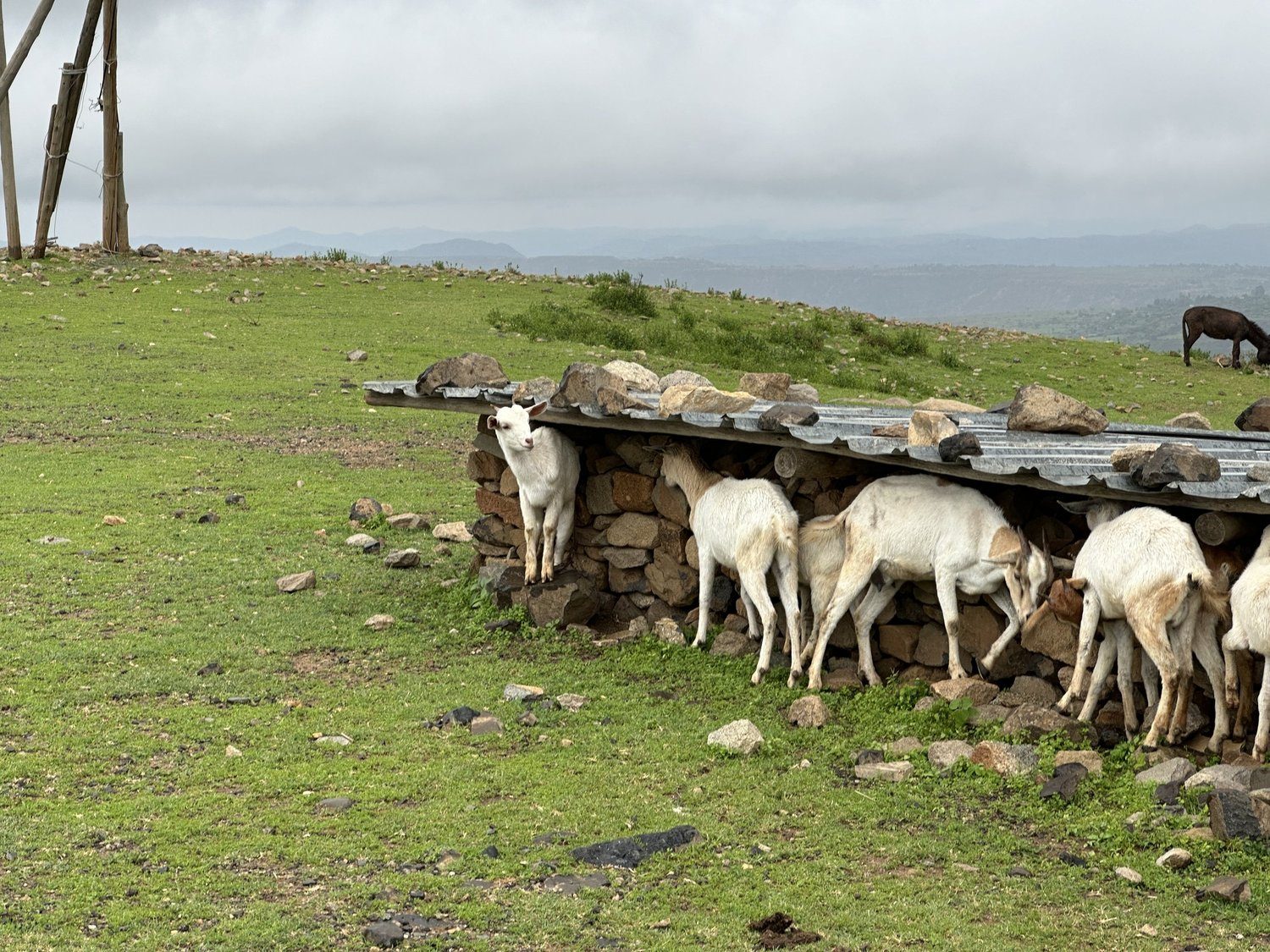 Ethiopia journey photograph 30
