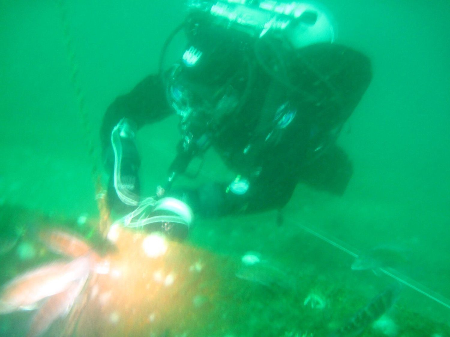Wreck diving photograph 5