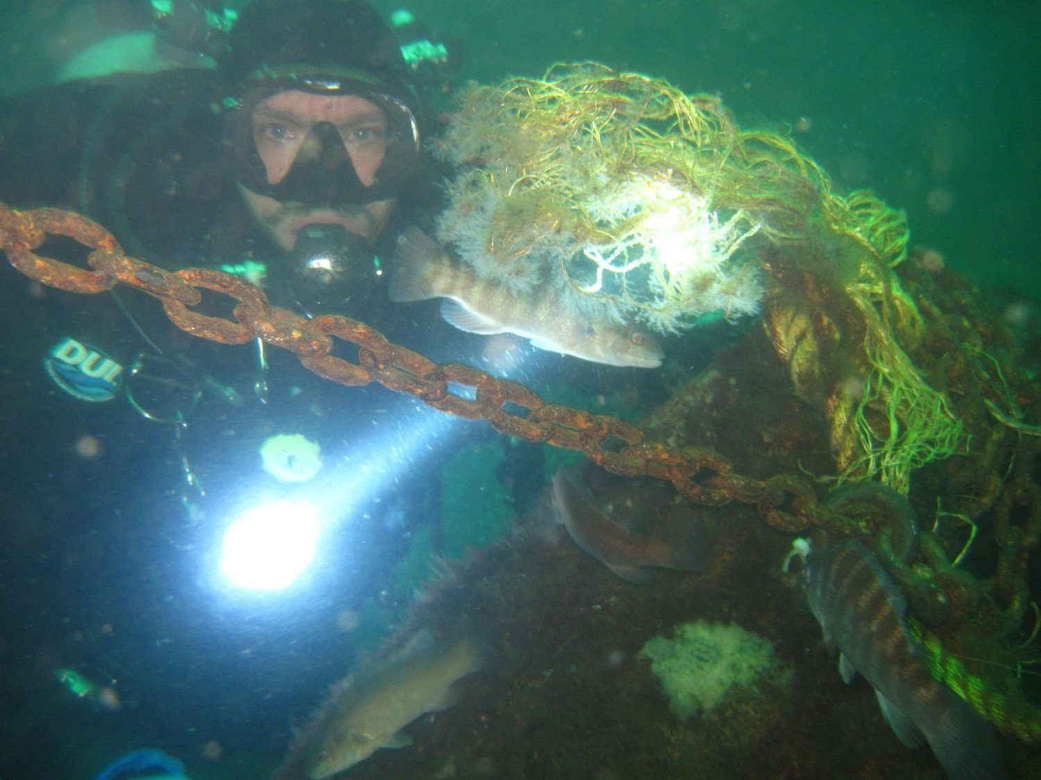 Wreck diving photograph 6