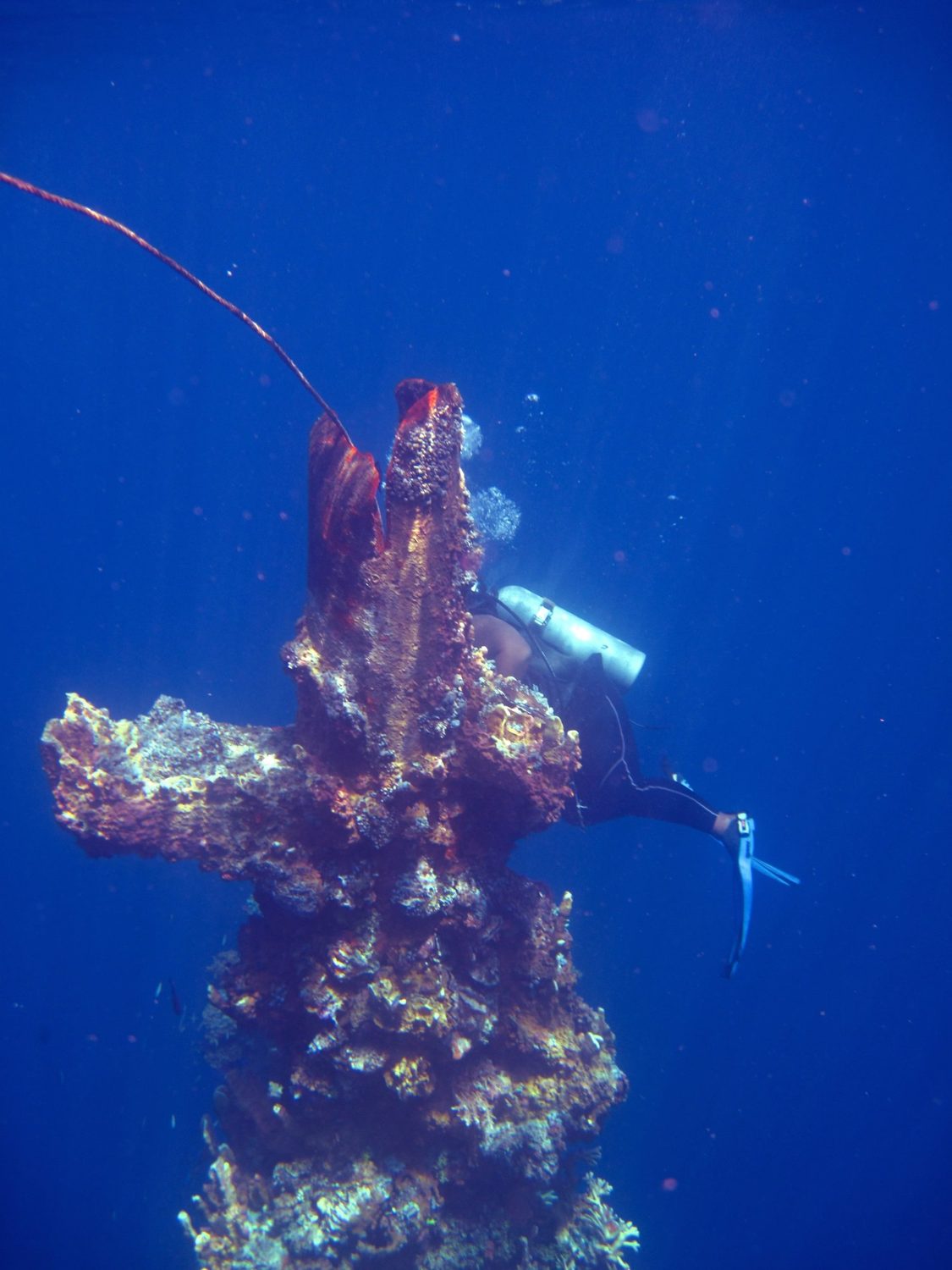 Wreck diving photograph 19