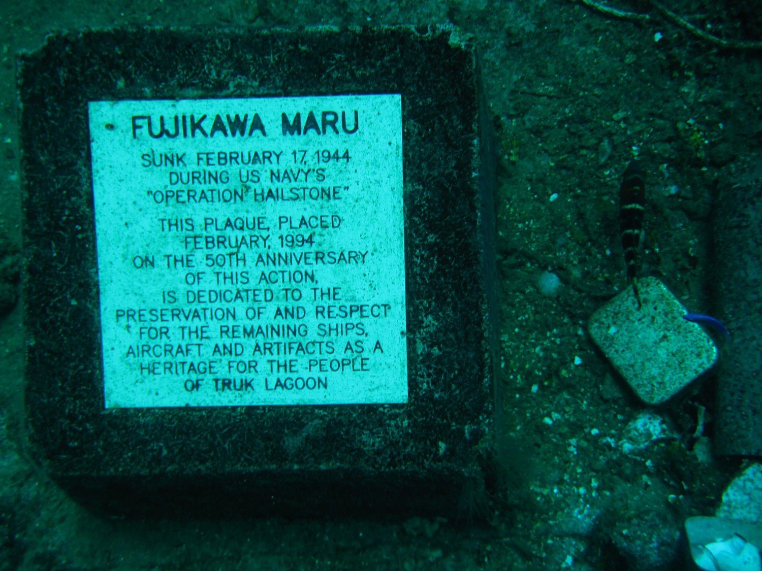 Wreck diving photograph 24