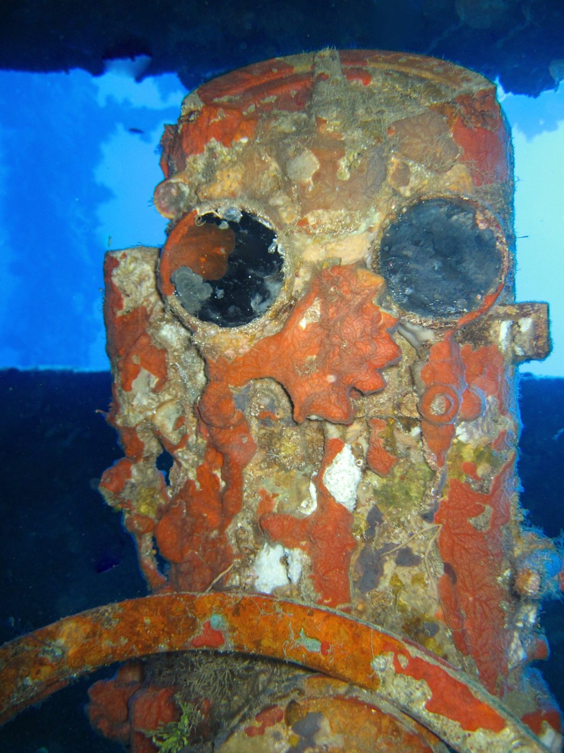 Wreck diving photograph 33