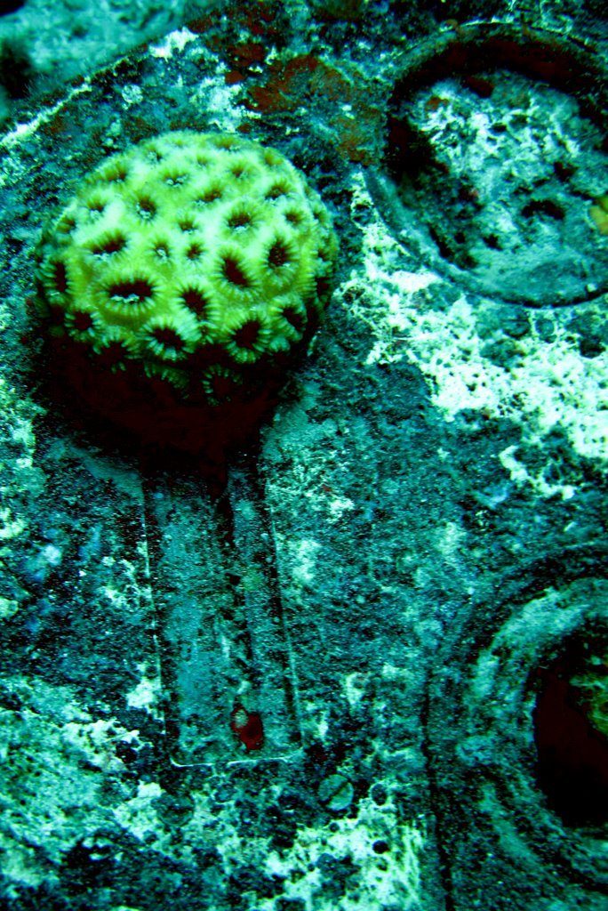 Wreck diving photograph 47