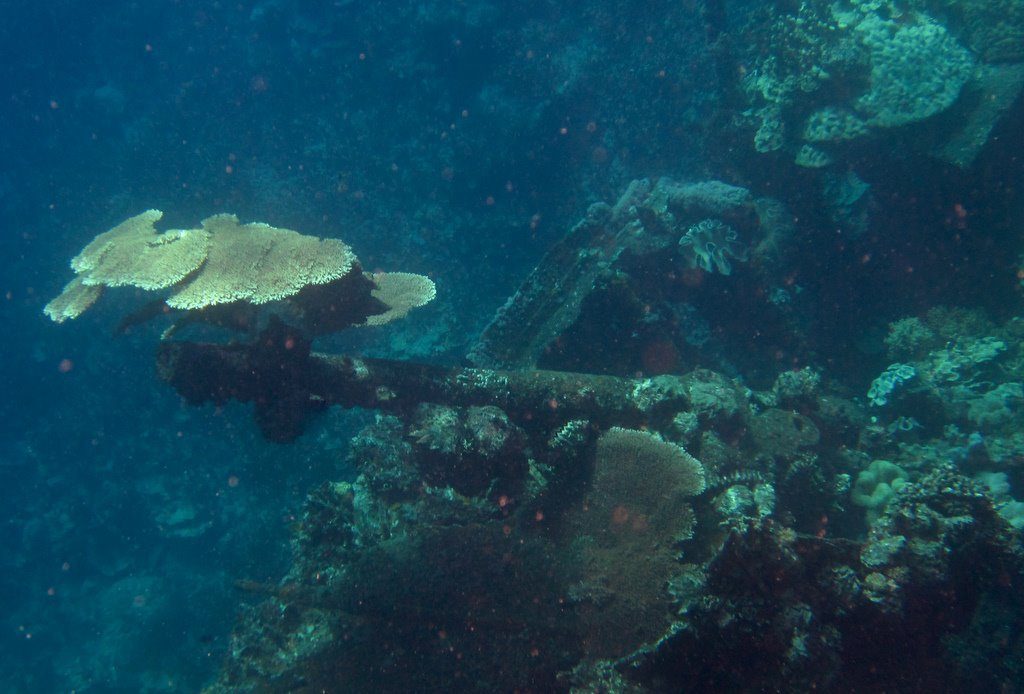 Wreck diving photograph 59