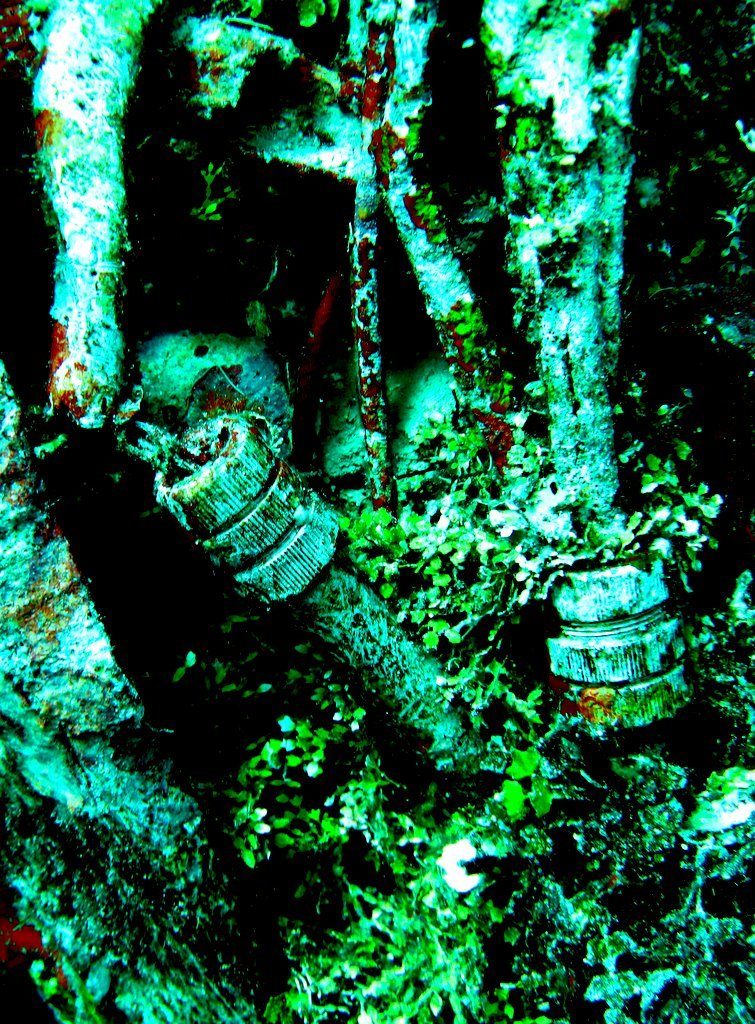Wreck diving photograph 65