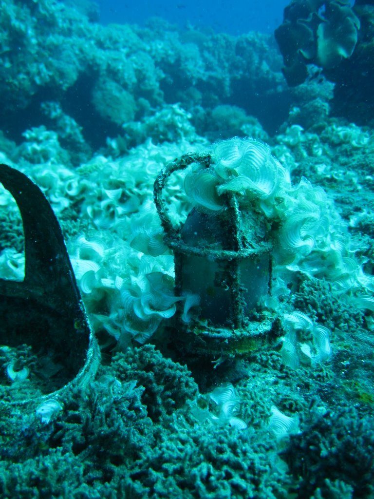 Wreck diving photograph 67