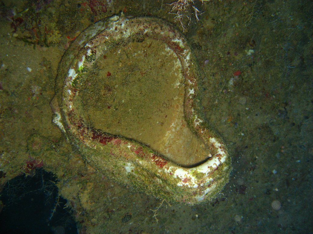 Wreck diving photograph 83