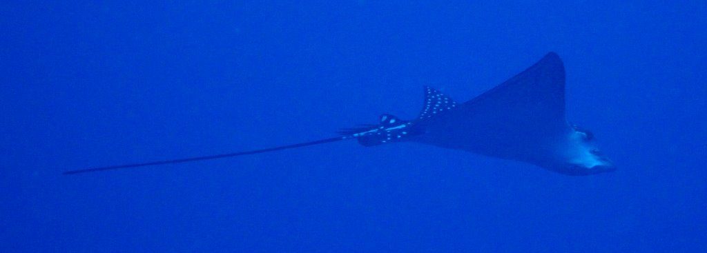 Wreck diving photograph 89
