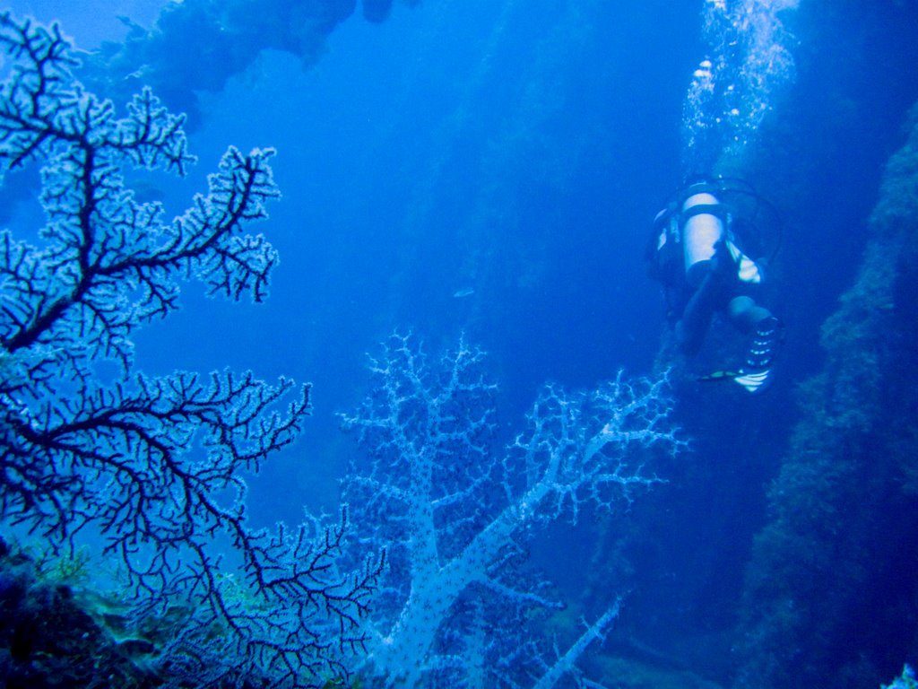 Wreck diving photograph 92