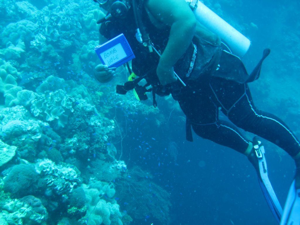 Wreck diving photograph 103