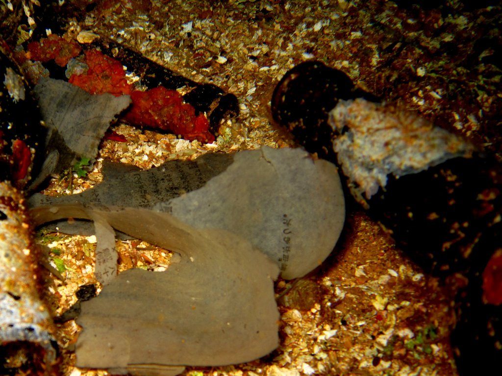 Wreck diving photograph 105
