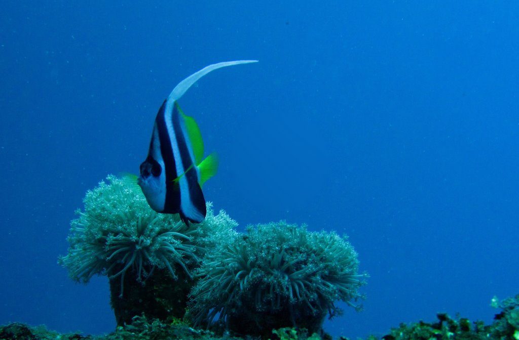 Wreck diving photograph 106
