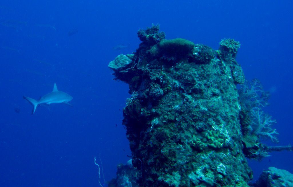 Wreck diving photograph 111